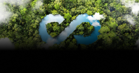 Lush green forest with water body in 'S' shape representing sustainability 