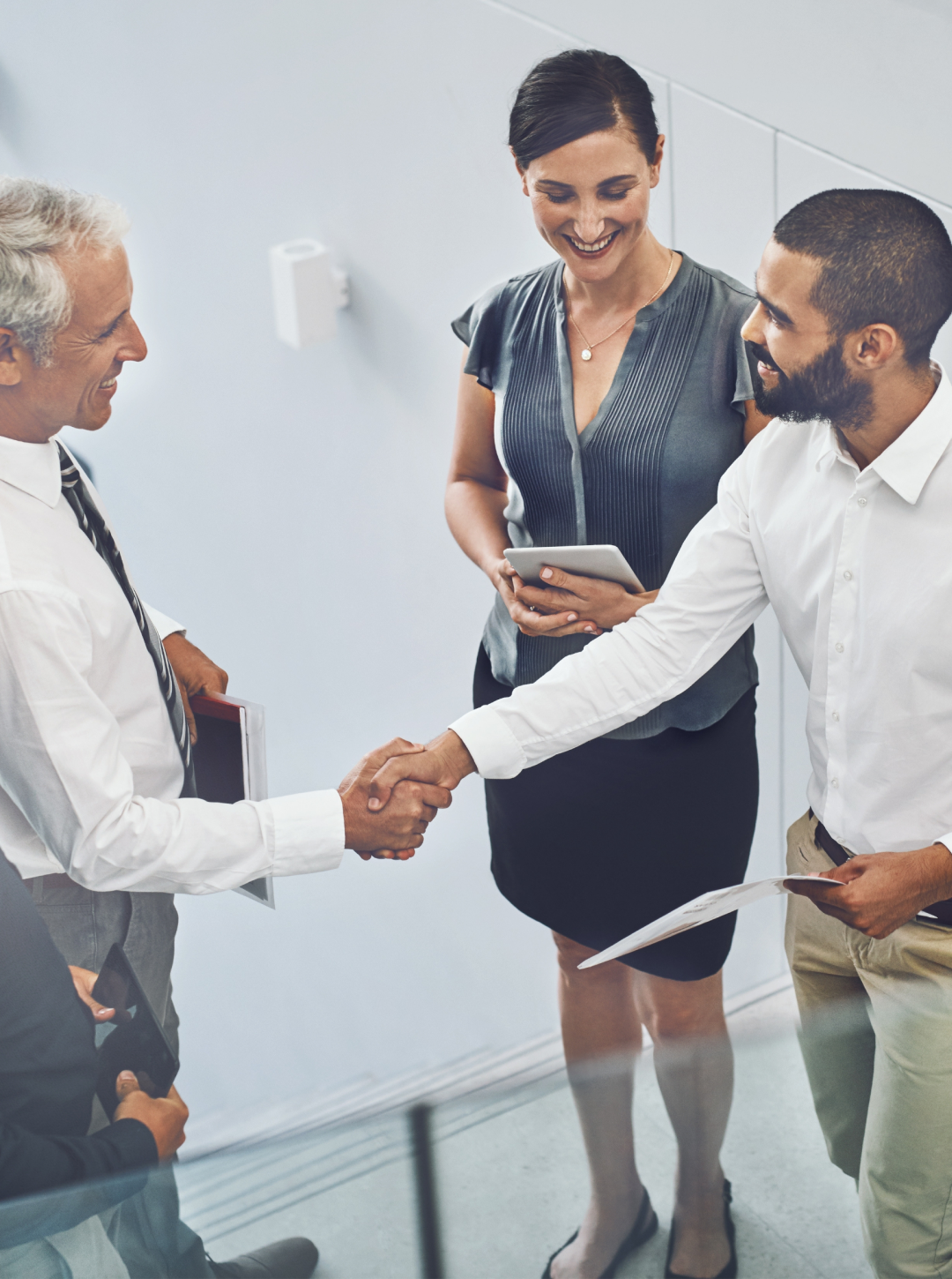 Partners shaking hands 