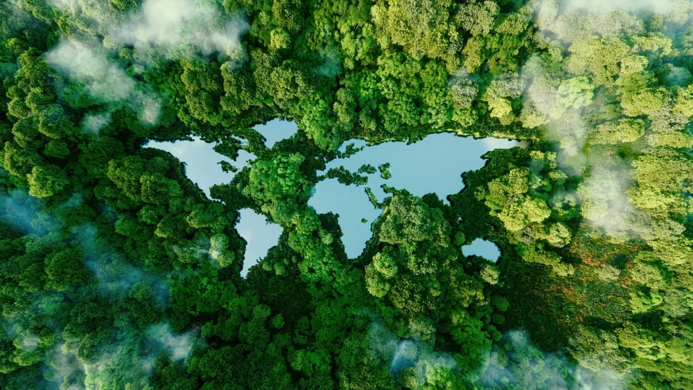 sustainability