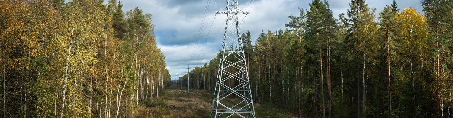 vegetation-management