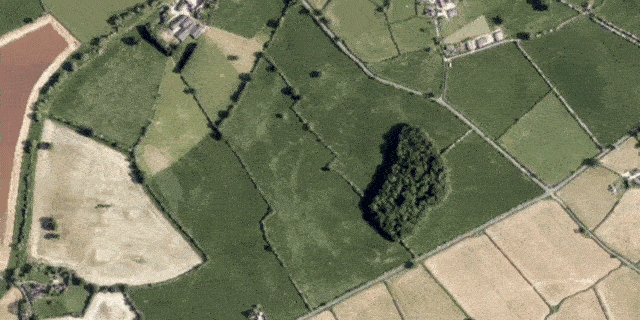 GeoAI-pre-trained-model-picterra-for-hedgerows-vertical-640x320px