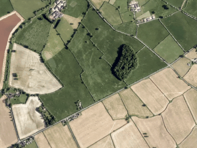 GeoAI-pre-trained-model-picterra-for-hedgerows-vertical-640x480px