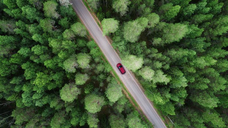 Bird's Eye View (BEV) Implementation: A Comprehensive Guide