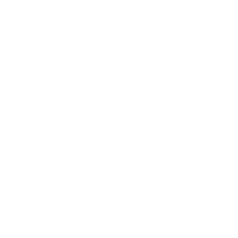 Value-Delivered-icon