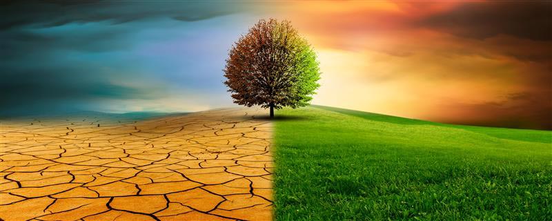 Monitoring Soil Degradation with Spatial Intelligence, GIS, and Satellite Data