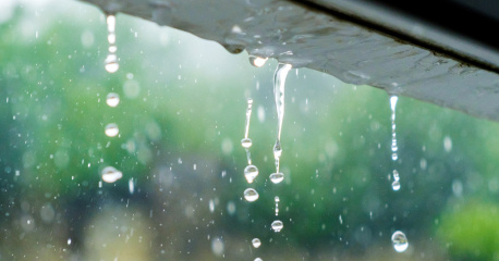 Rainwater dripping
