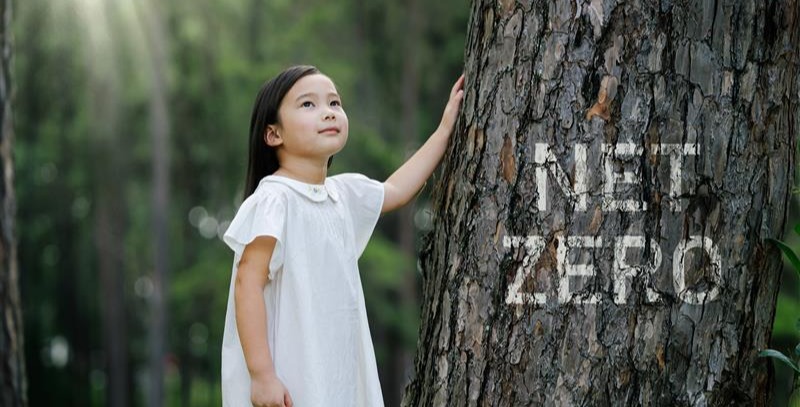 Part 2 | Experiencing Japan’s Energy Transition: From Net-Zero Targets to Technology