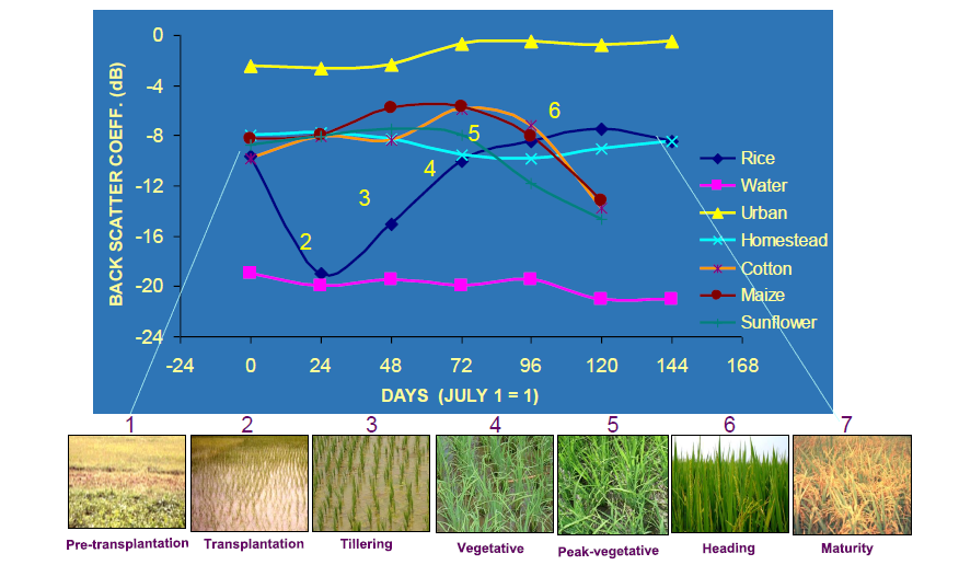 Figure 5. SAR imagery in different life stages of a crop [3]