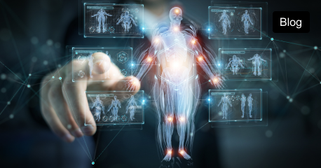  Digital interface scanning human anatomy.