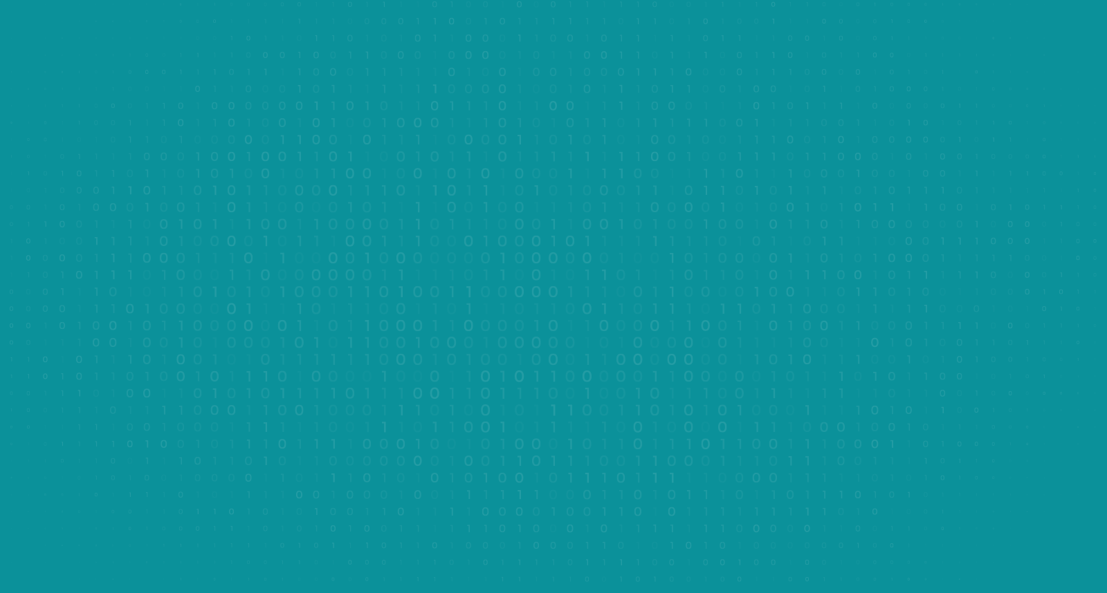 Image 47