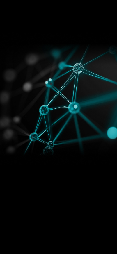 Comms_MANAGED NETWORK SERVICES (1)