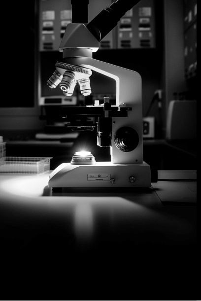 Microscope