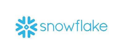 Snowflake - Logo 