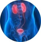 Urology