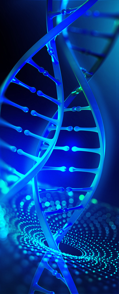 Decoding De Novo Submission Process For Medical Devices in the US
